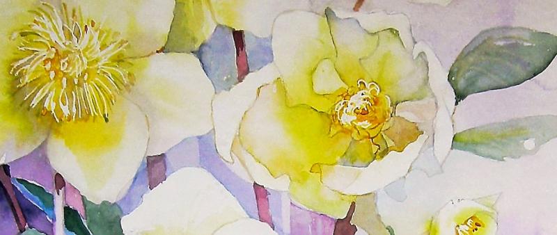 Aquarellmalerei - Weiße Blüten