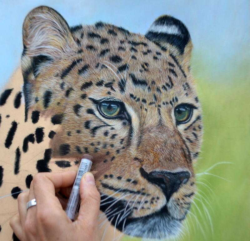 Katzen malen in Softpastell auf Velourpapier
