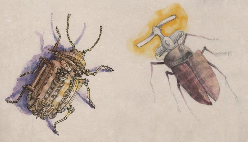 Kreatives Zeichnen und Farbgebung - Insekten und Naturstrukturen